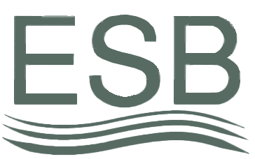 Partner certification logo